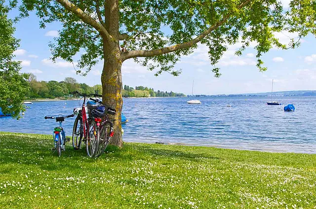 Zwei Fahrräder stehen an einem Baum am Bodensee. Im Hintergrund sind Boote auf dem Wasser und eine grüne Wiese mit Blumen zu sehen. Unter dem Bild steht 'BODENSEE-RADWEG'.