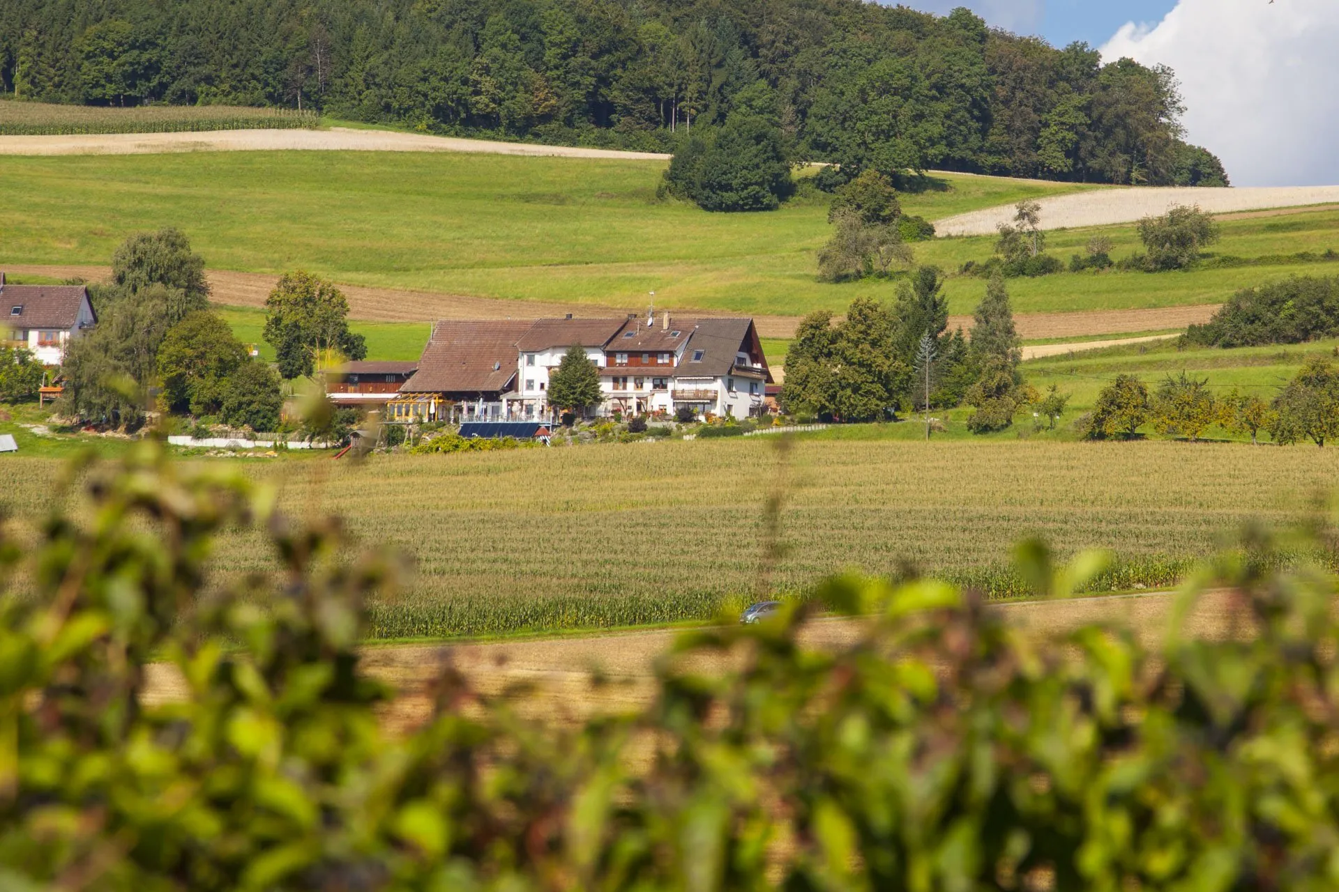 Landschaft mit einem großen, zweigeschossigen Bauernhaus umgeben von Bäumen und Feldern. Im Hintergrund sind sanfte Hügel sichtbar.