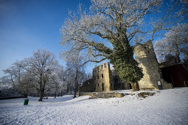 Eine winterliche Landschaft mit schneebedecktem Boden. Im Vordergrund steht ein großer Baum mit frostigen Ästen. Im Hintergrund sind Ruinen eines Steingebäudes und weitere schneebedeckte Bäume sichtbar.